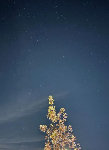 🏞️ 니시카이간 공원(백조곶 서해안 공원) 이미지 4